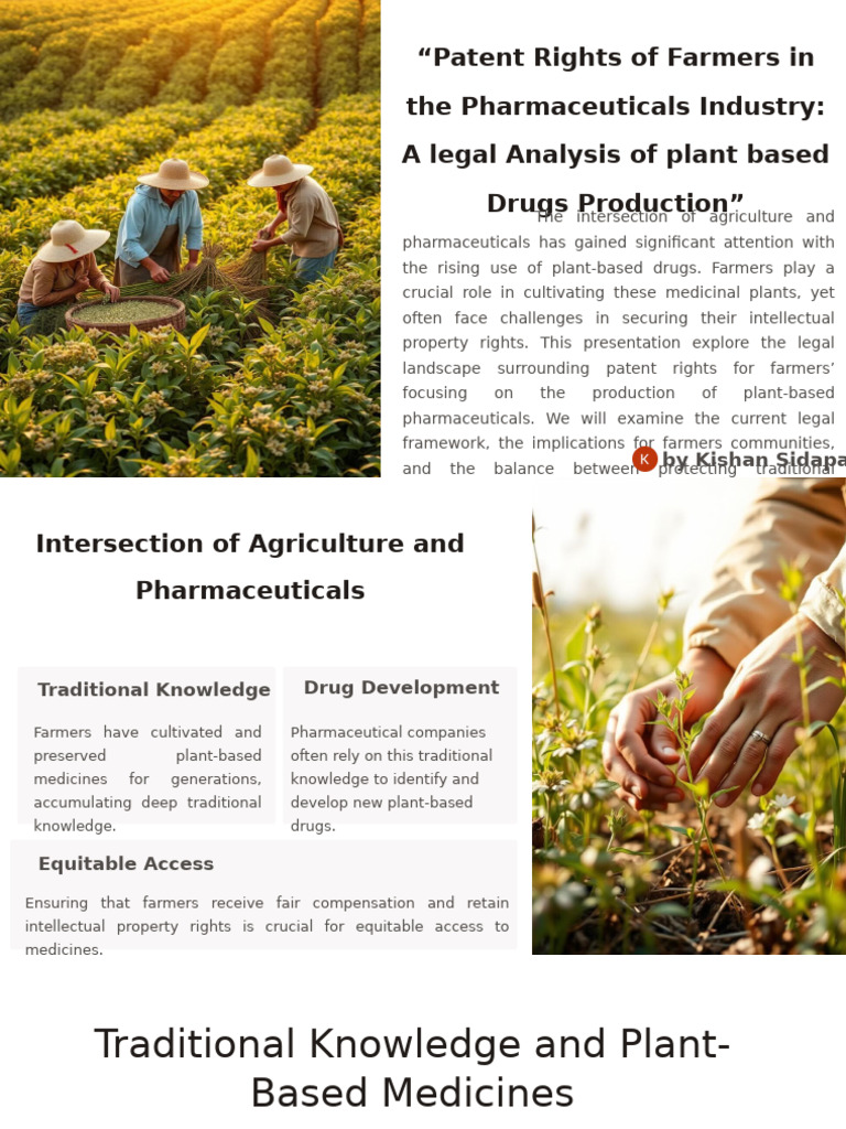 Farmers' Rights in Herbal Drug Patents | PDF | Traditional Knowledge