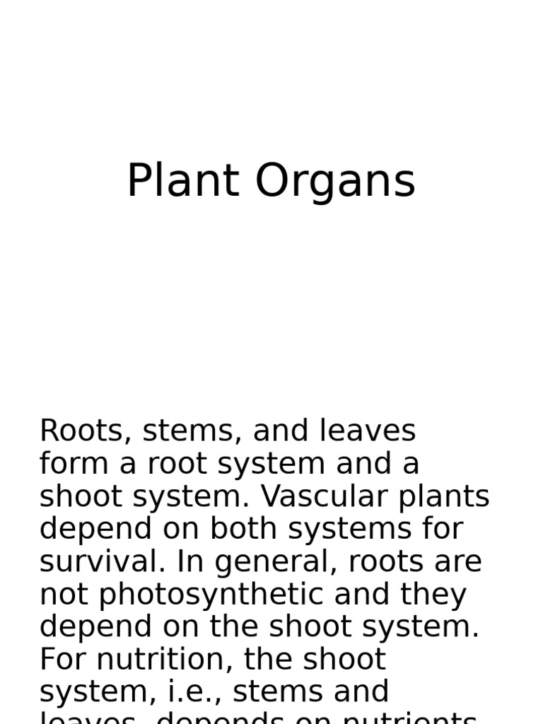Plant Organs-WPS Office | PDF | Root | Leaf