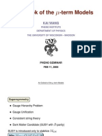 Kai Wang- An Outlook of the μ-term Models