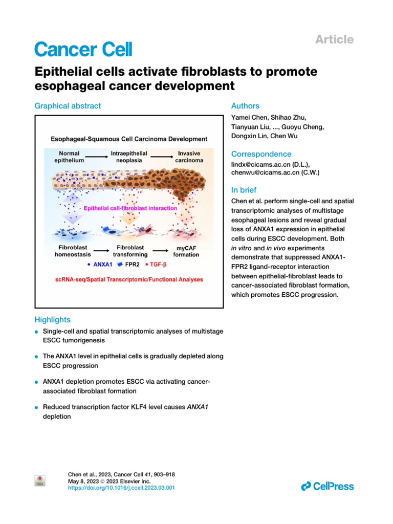 011 Epithelial Cells Activate Fibroblasts To Promote Esophageal Cancer ...