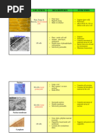 Cell Organelle Functions Chart | PDF | Cell Membrane | Endoplasmic ...