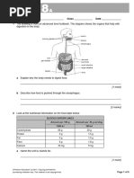 7c Test Paper | PDF | Arm | Blood