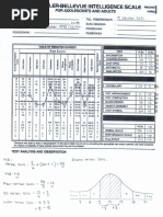 WISC Test Manual and Scoring Guide | PDF