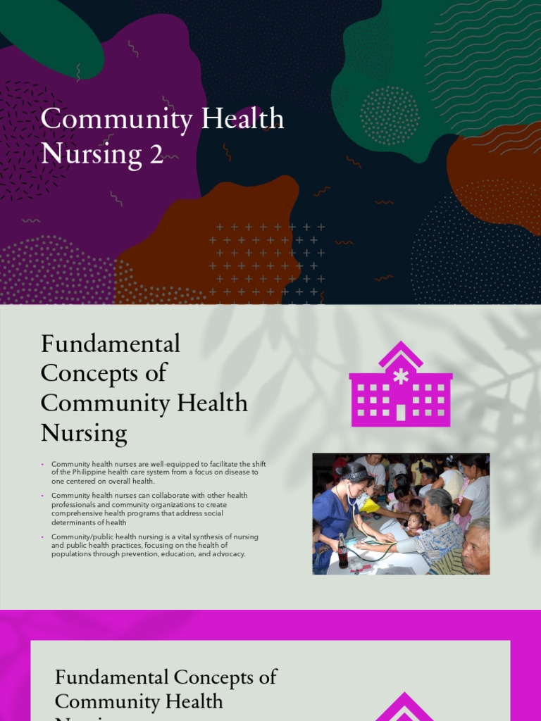 Community Health Nursing Fundamentals | PDF | Public Health | Mental Health