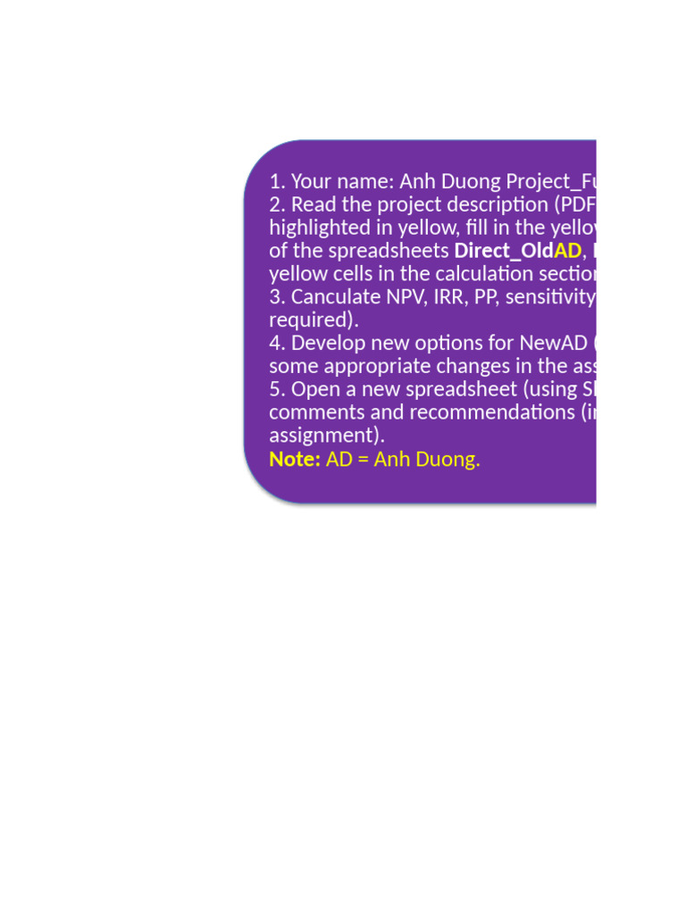 New anh duong project 2024 assignment pdf net present value