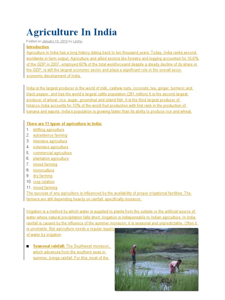 Agriculture in India | PDF | Tillage | Rice