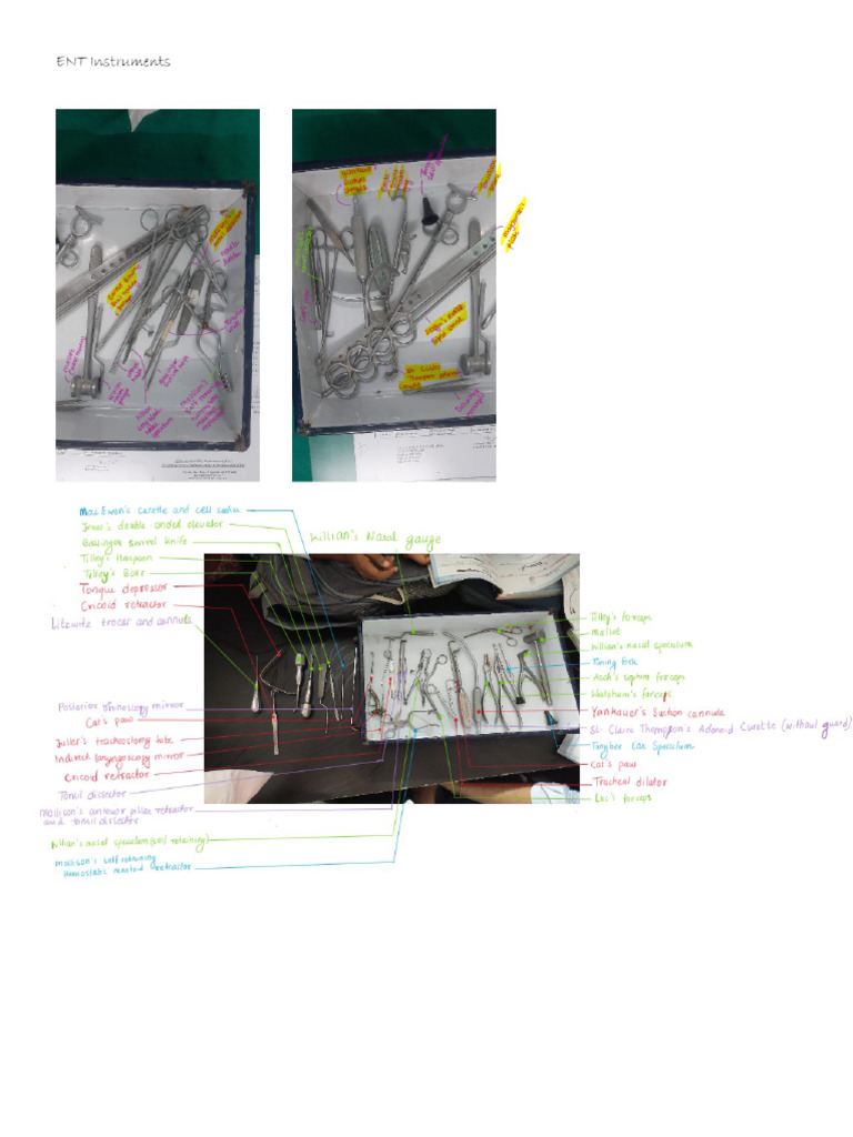 ENT Instruments | PDF
