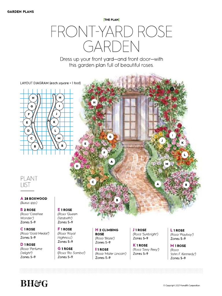 Front Yard Rose | PDF