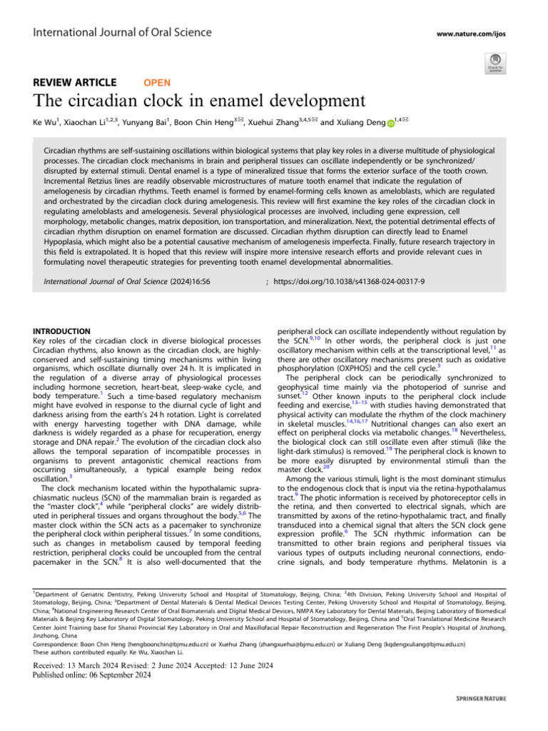 The Circadian Clock in Enamel Development | PDF | Clock | Circadian Rhythm