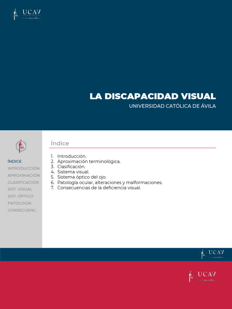 Tipos y causas de discapacidad visual | PDF | Ojo humano | Percepción ...