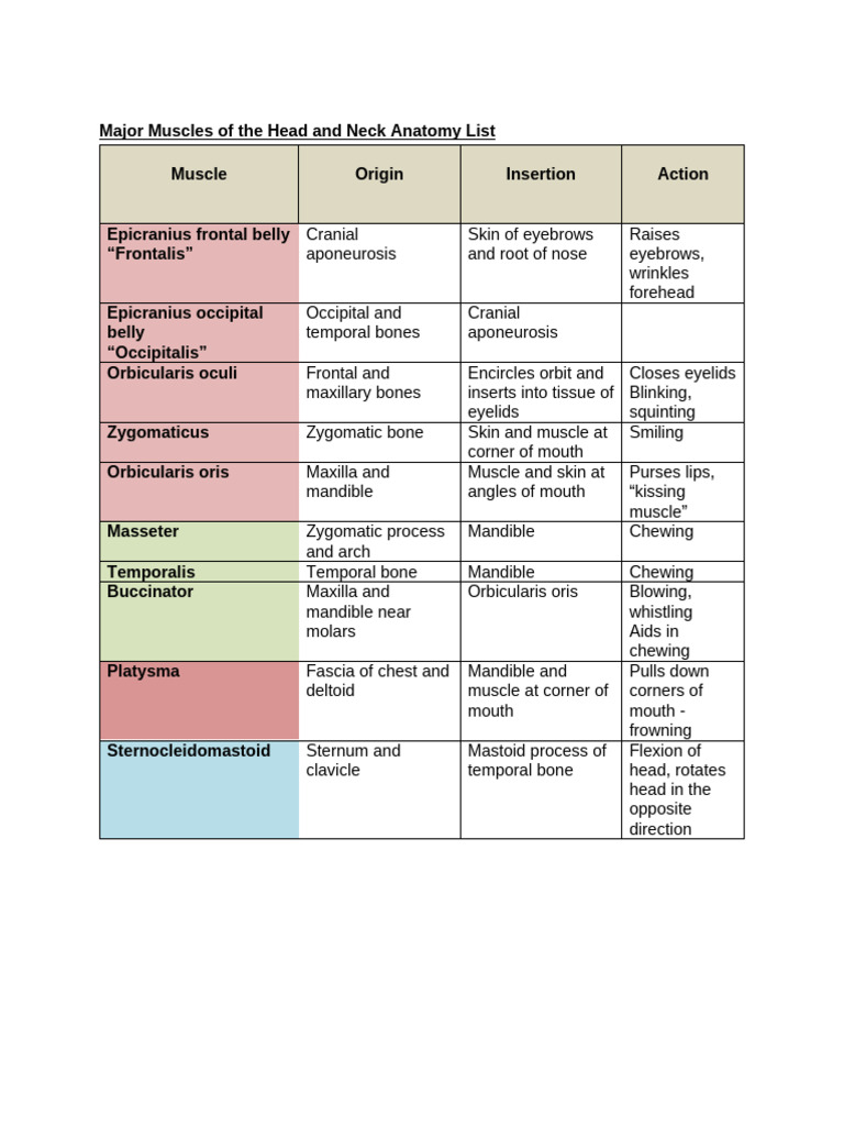 Muscles To Know | PDF | Human Leg | Anatomical Terms Of Motion