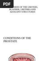Edinburgh Claudication Questionnaire (ECQ) | PDF
