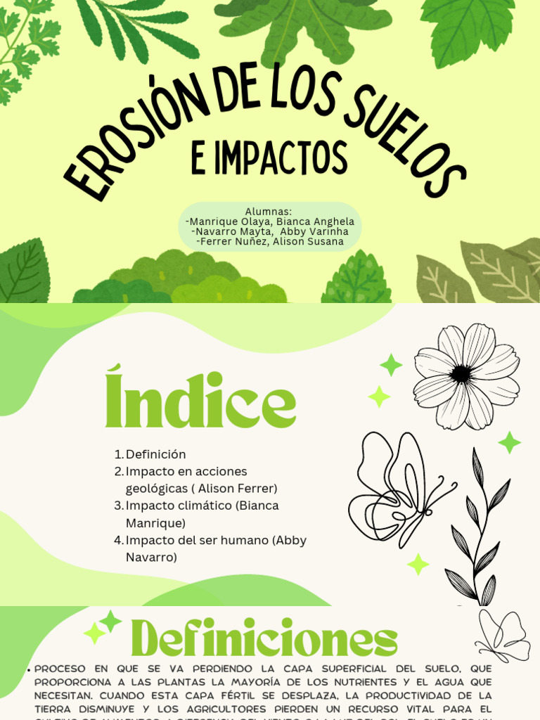 Erosión de Los Suelos e Impactos | PDF | Suelo | Destrucción del habitát