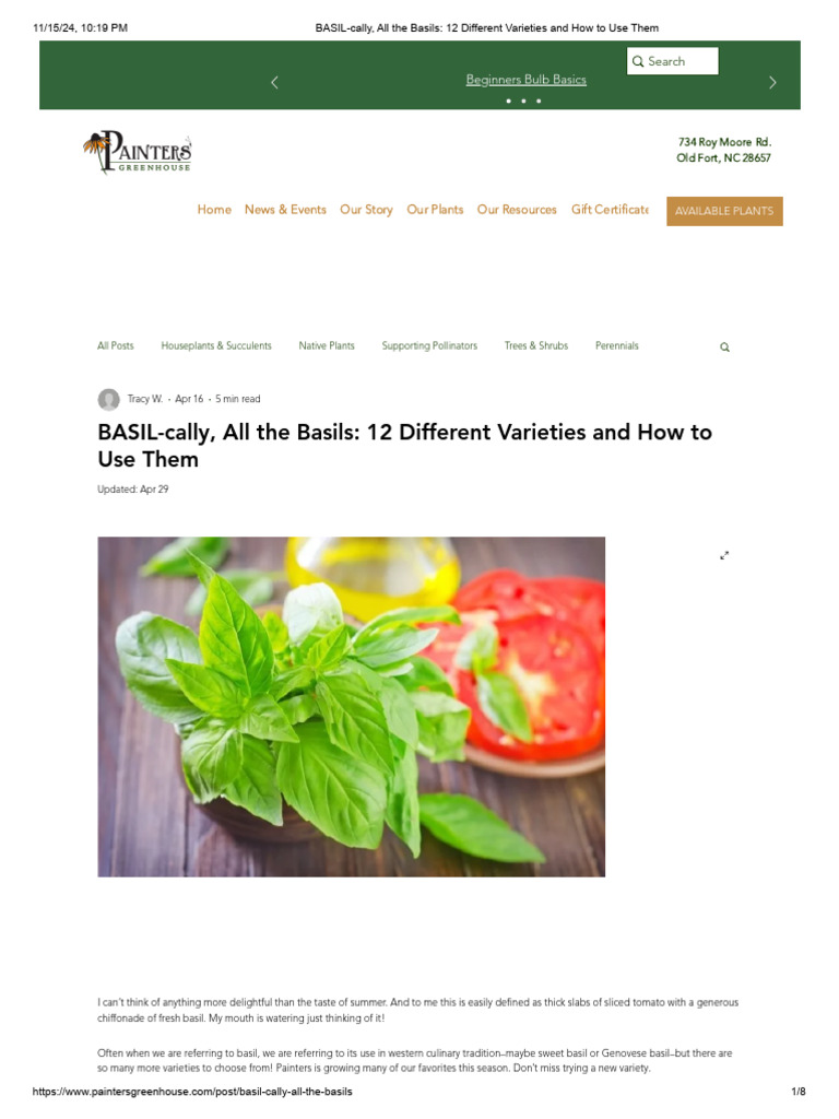 Exploring 12 Basil Varieties | PDF | Basil | Botany