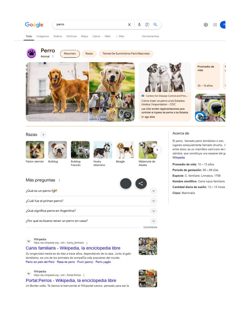 Información esencial sobre perros | PDF | del perro | Wikipedia