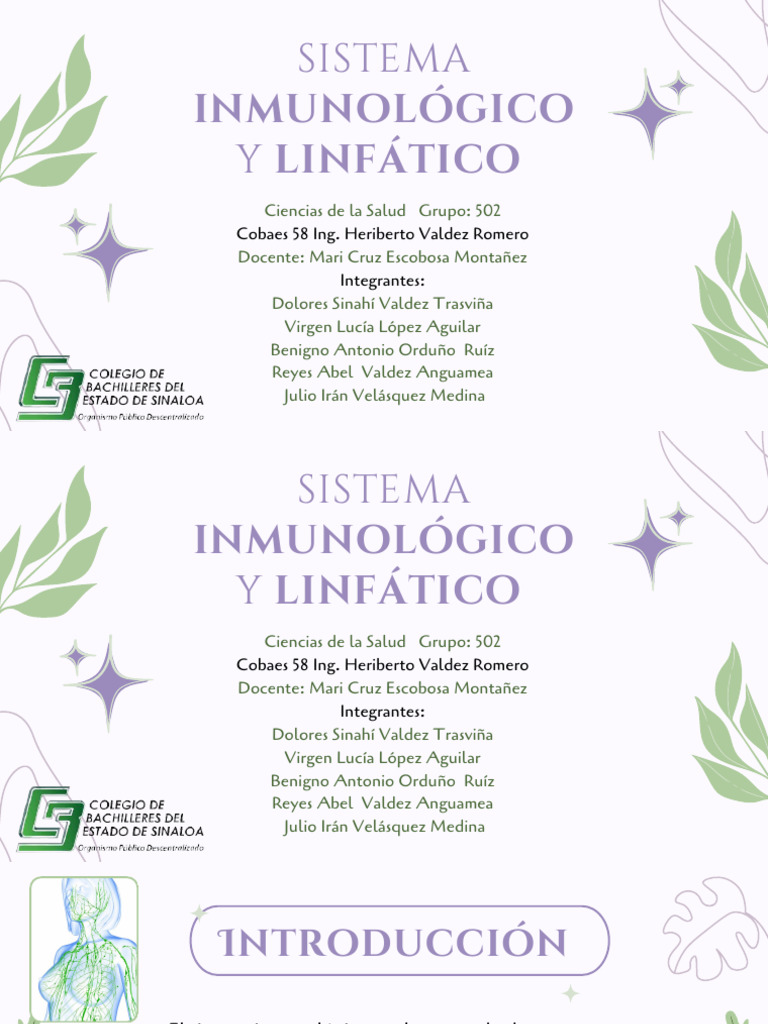 Funciones del Sistema Inmunológico y Linfático | PDF | Sistema inmune ...