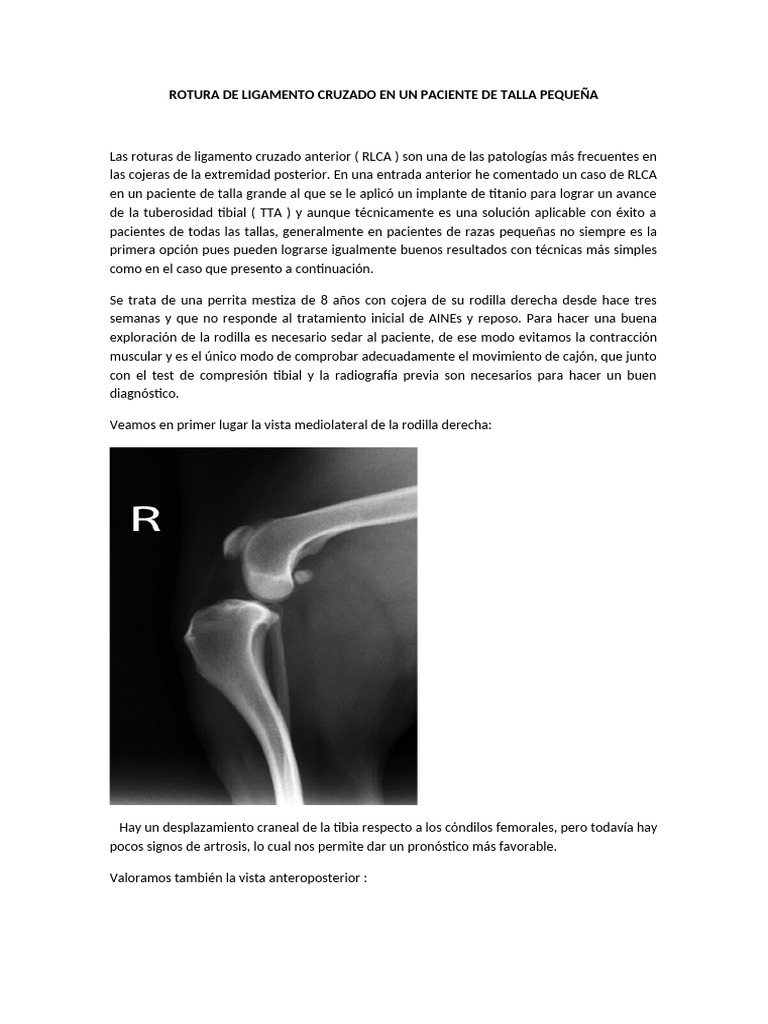 Tratamiento de RLCA en perros pequeños | PDF | Rodilla | Especialidades ...