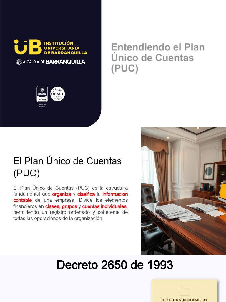 Entendiendo El Plan Unico de Cuentas - 16-10-2024 | PDF | Contabilidad ...