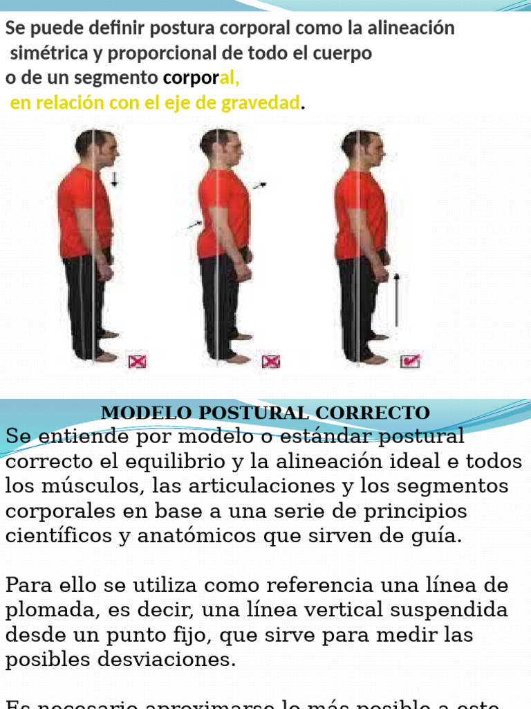Guía de Postura Corporal Correcta | PDF | La columna vertebral ...