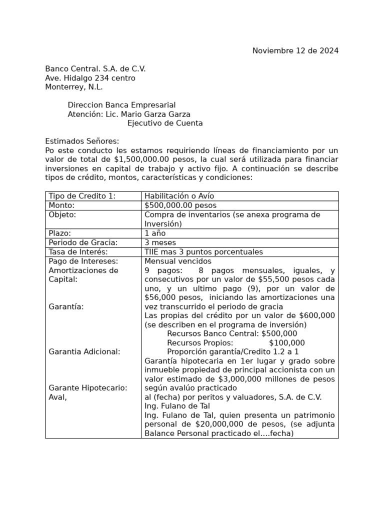 Carta de financiamiento 2024 pdf servicios financieros dinero