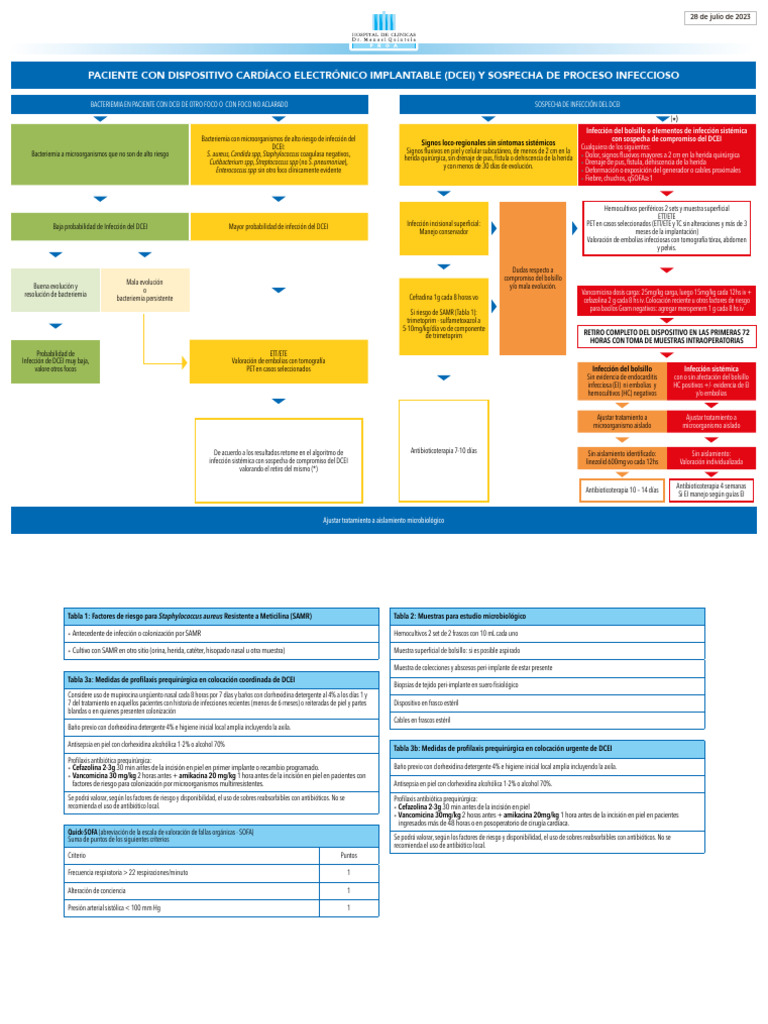 Manejo de Bacteriemia en DCEI | PDF | Staphylococcus Aureus ...