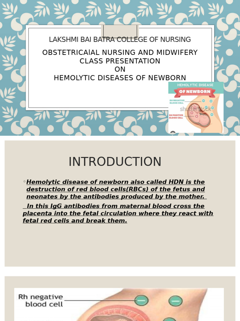 Hemolytic Disease of Newborn Overview | PDF | Blood Type | Anatomy