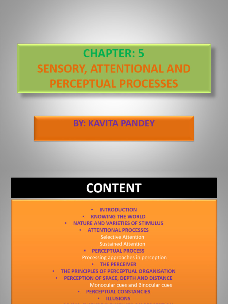5 CHP E Xplanation Sensory, Attention and Perceptual Processes | PDF ...