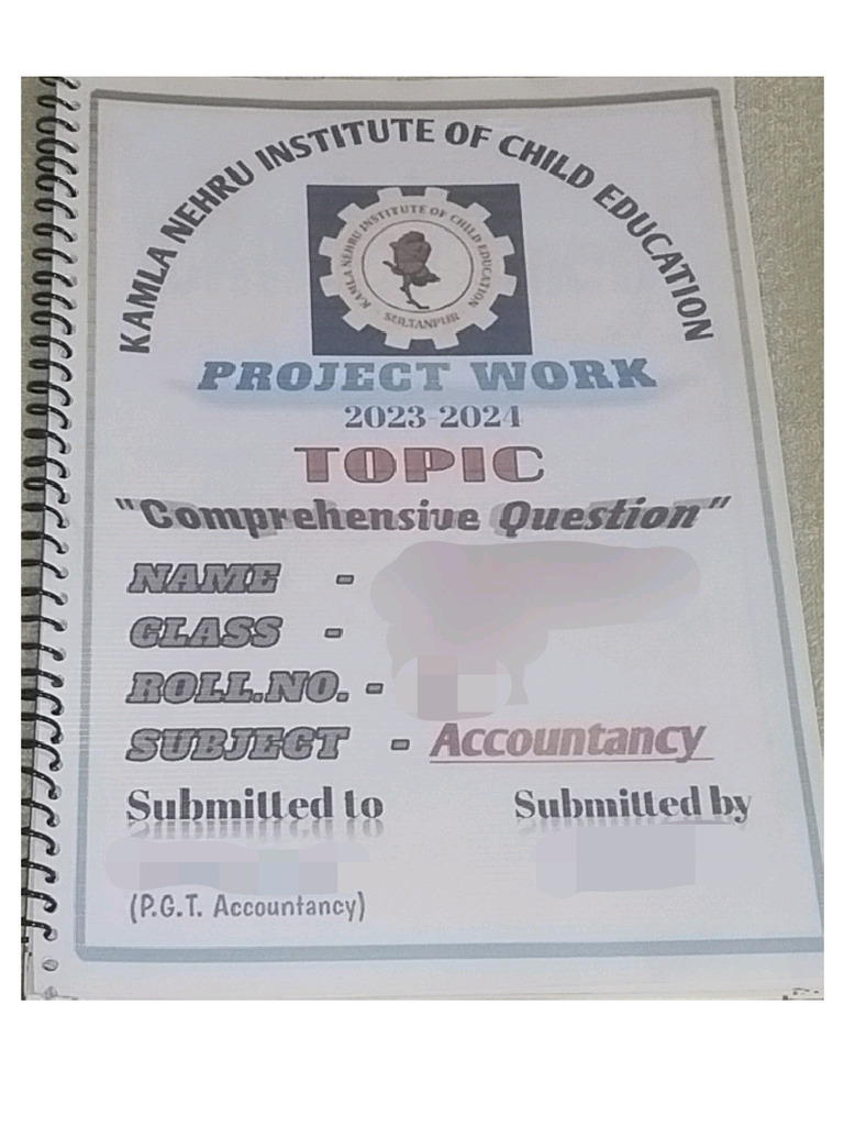 Accountancy Project | PDF