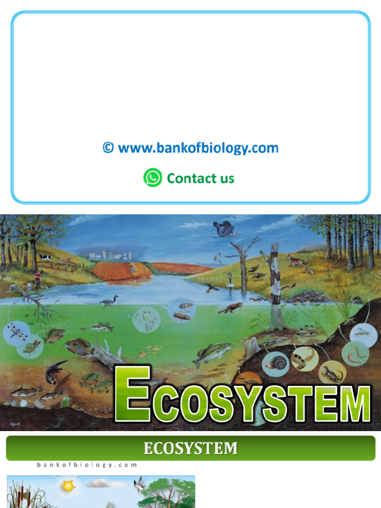 14 Ecosystem PPT Part 1 1600 PDF - Gdrive.vip | PDF