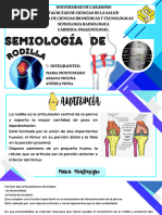 Eficiencia del Método Merchant en Rótula | PDF | Rodilla | Imagenes medicas
