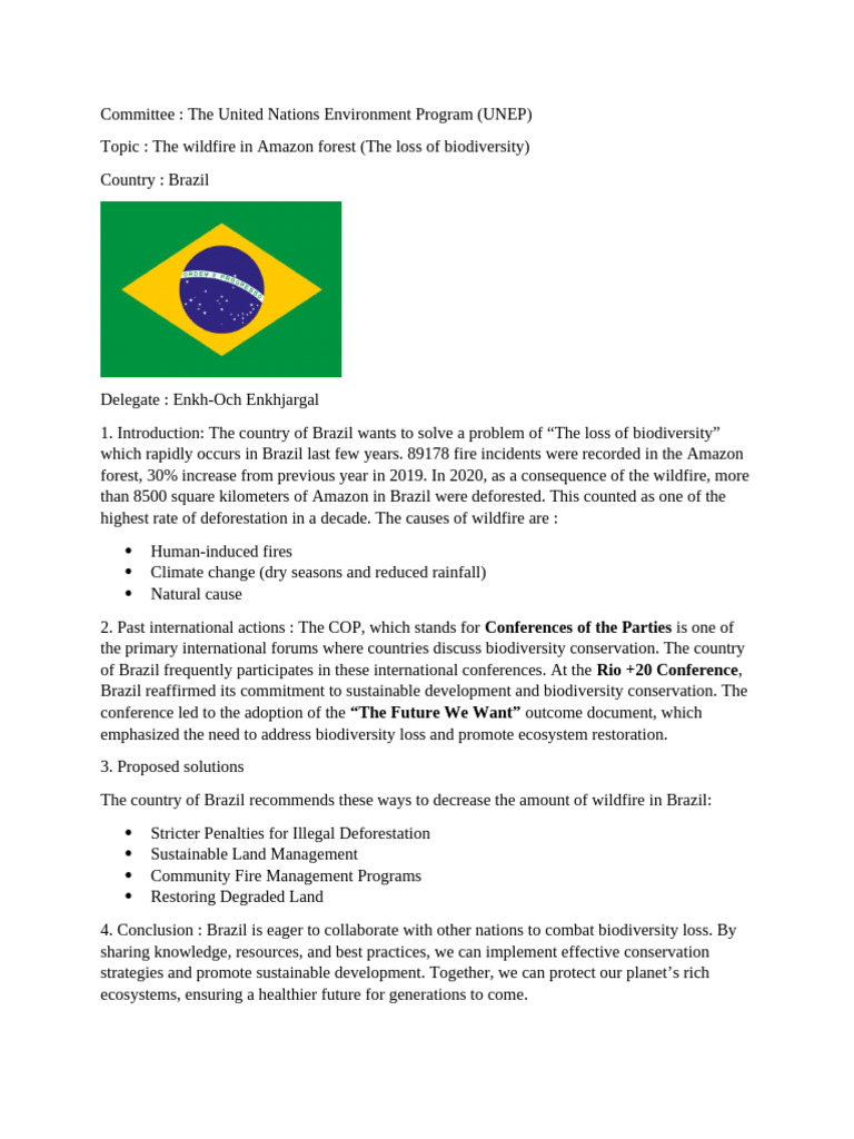 Brazil PP | PDF | Science & Mathematics