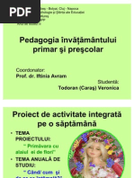 Pedagogia Învăţământului Primar Şi Preşcolar