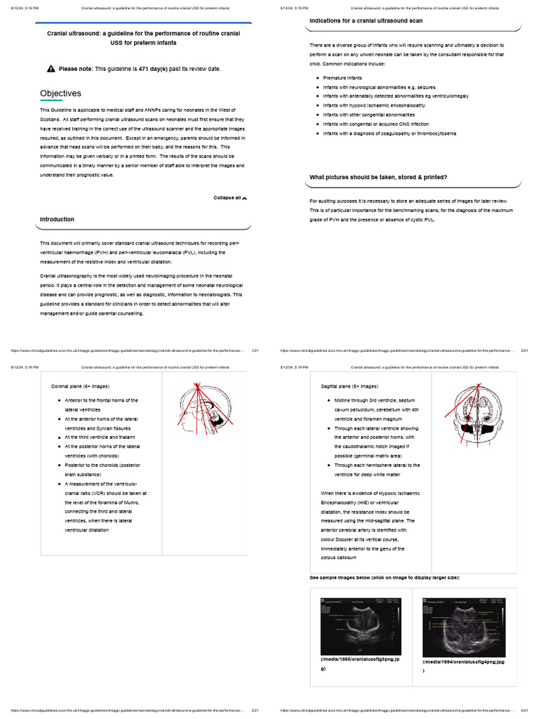 Cranial Ultrasound - A Guideline For The Performance of Routine Cranial ...