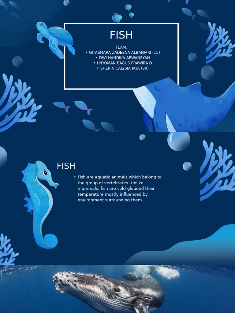Overview of Fish Species and Traits | PDF