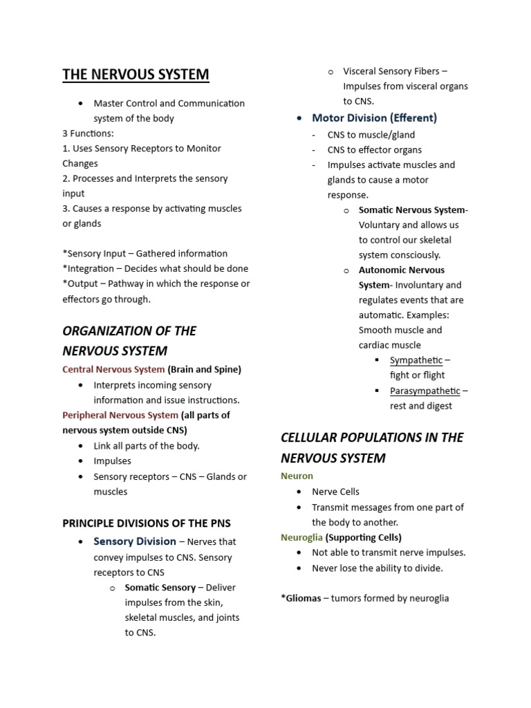 Overview of the Nervous System Functions | PDF | Cerebrospinal Fluid ...