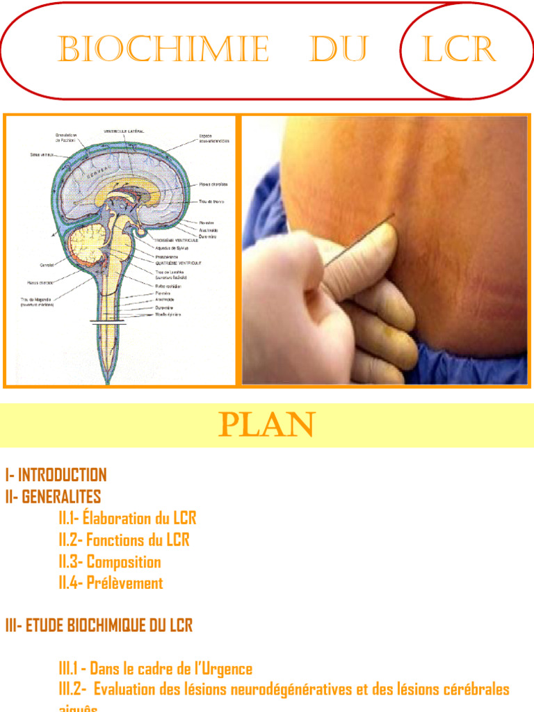 Biochimie du LCR et ses analyses | PDF | Liquide cérébro-spinal | Cerveau