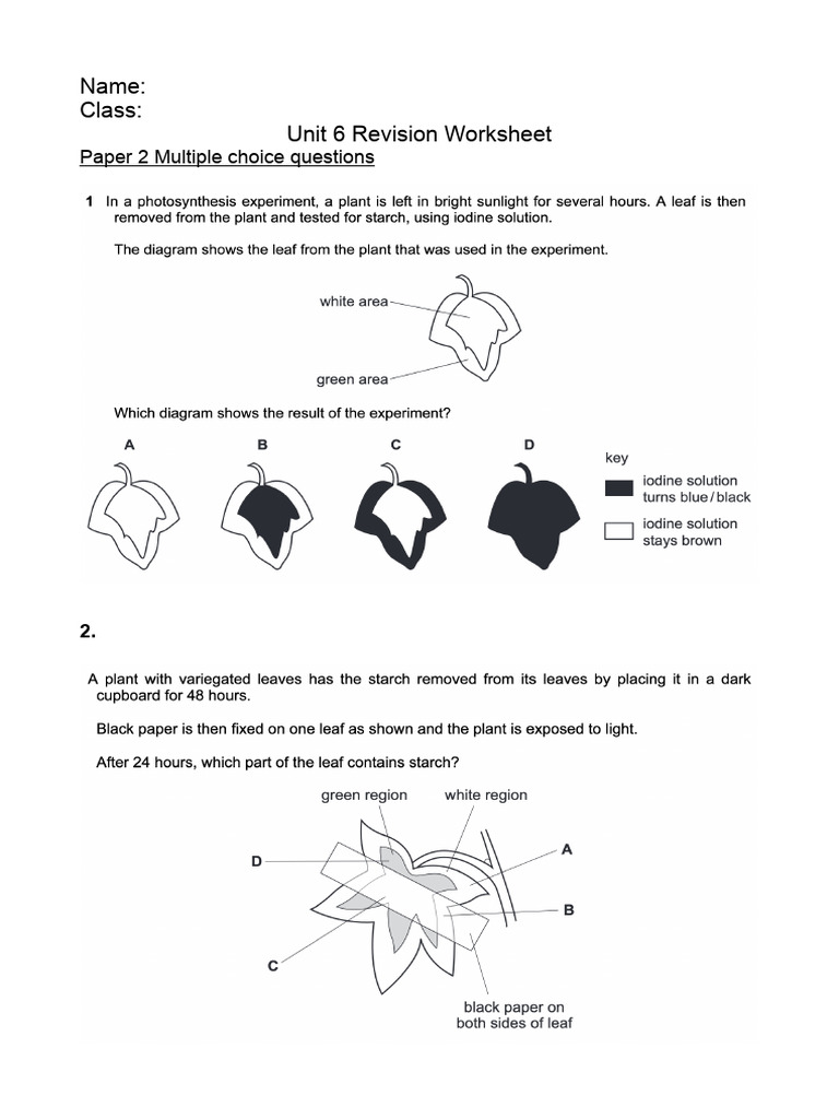 Revision Worksheet Unit 6 | PDF | Computers