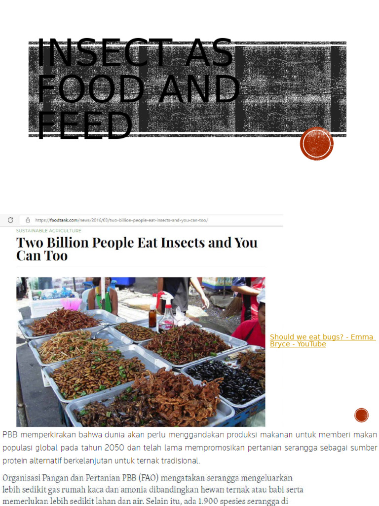 Insect As Food and Feed | PDF