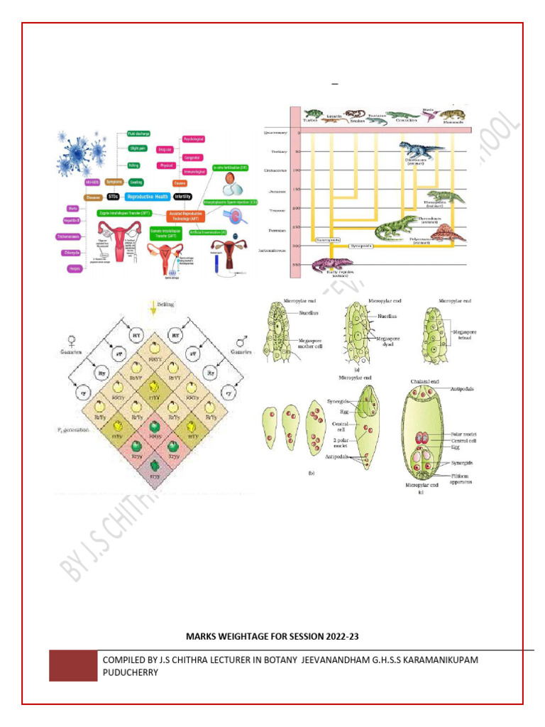 CBSE Class 12 Biology Notes 2024-2025 | PDF | Dominance (Genetics ...