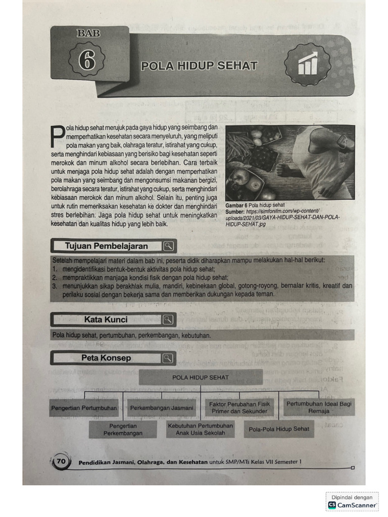 Pola Hidup Sehat | PDF