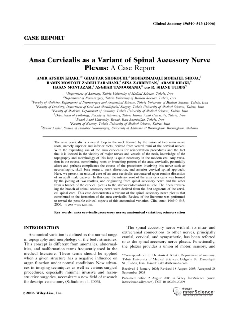 Ansa Cervicalis Variant Case Report | PDF | Common Carotid Artery ...