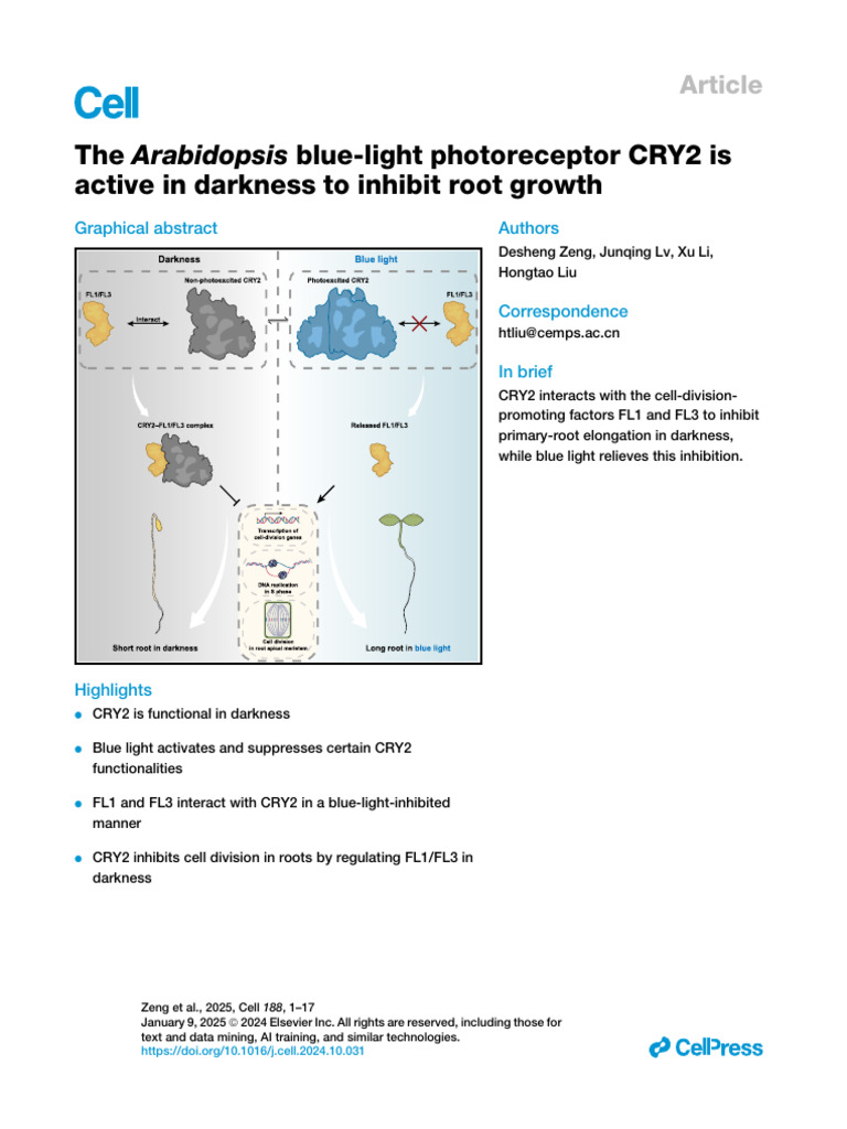 The Arabidopsis Blue-Light Photoreceptor CRY2 Is Active in Darkness To ...