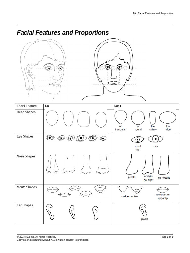 MS IWDARTB Facial Features Proportions A11Y | PDF | Language Arts ...