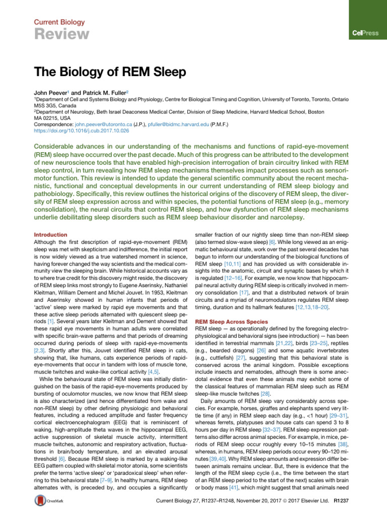 The Biology of REM Sleep | PDF | Rapid Eye Movement Sleep | Sleep