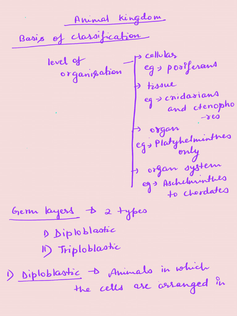 Animal Kingdom Upto Non Chordates | PDF