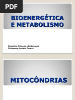 bioenergetica_e_metabolismo2011.2