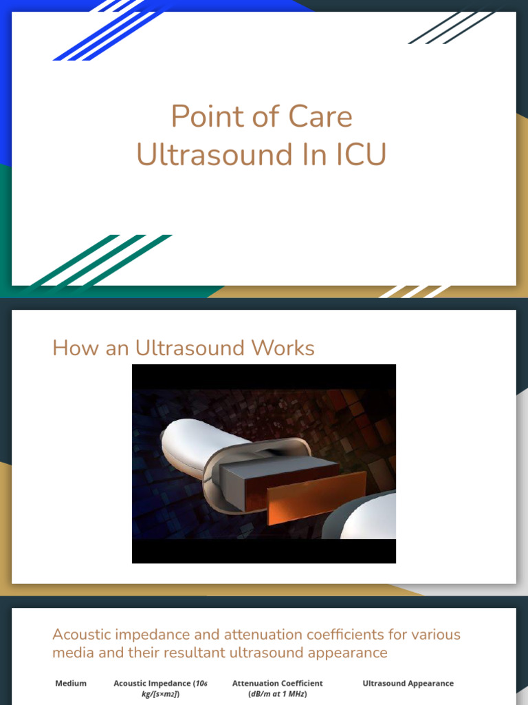 Point of Care Ultrasound in ICU | PDF | Echocardiography | Medical ...