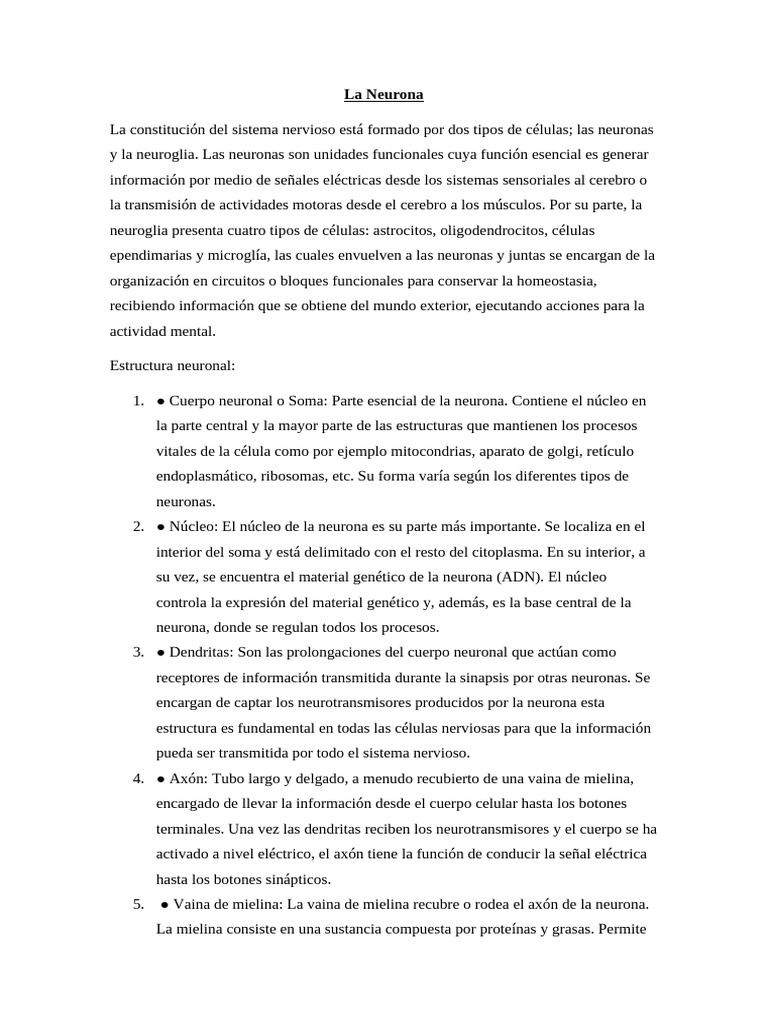Estructura y Función de las Neuronas | PDF | Sinapsis | Neurona