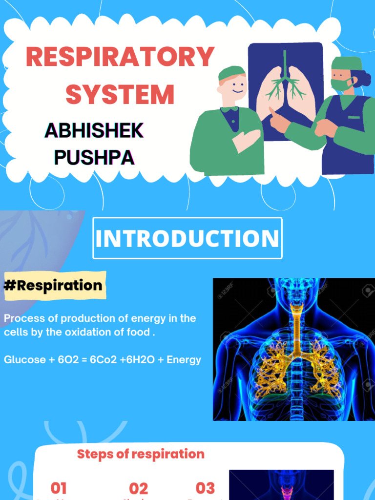 Respiratory System | PDF | Breathing | Respiratory System