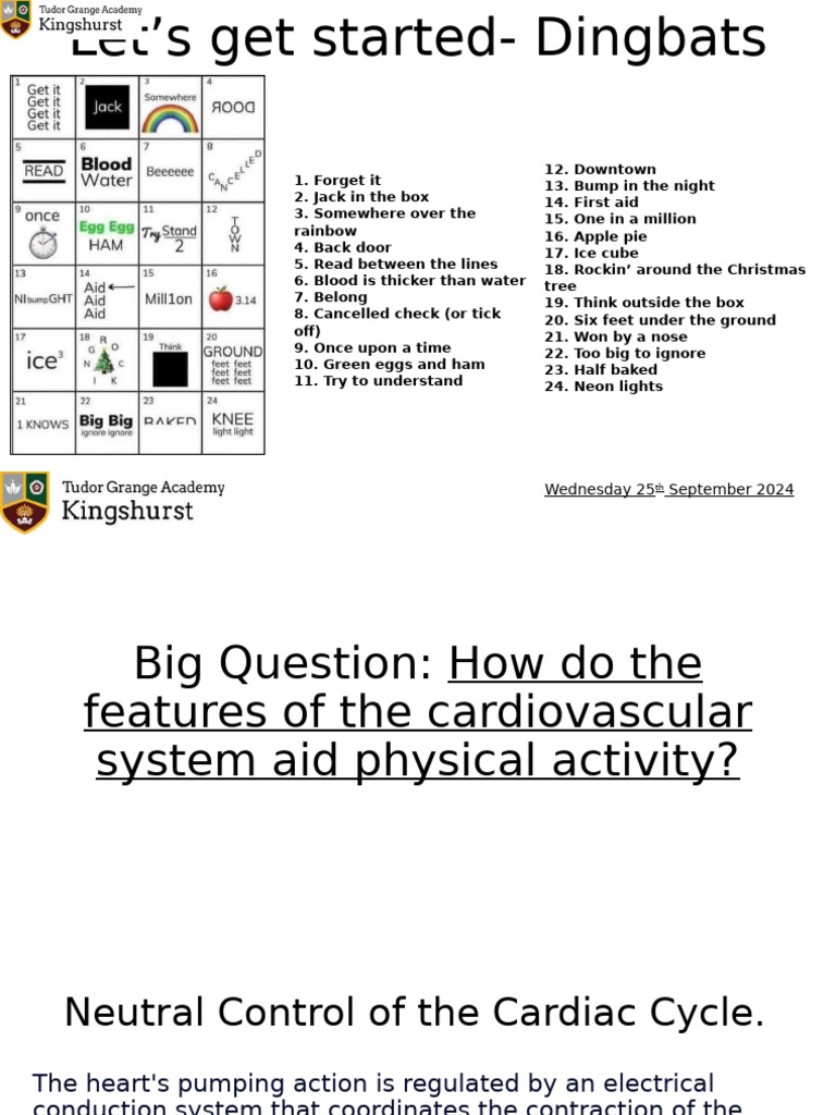 Cardiovascular System and Physical Activity | PDF | Heart | Medical ...
